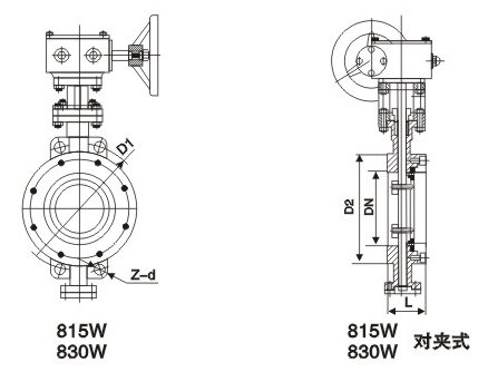 D371W美标對(dui)夾式蝶閥