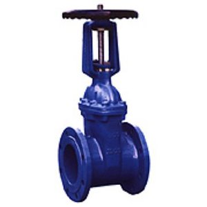 明杆(gan)彈性座封閘閥Z41XRRHX